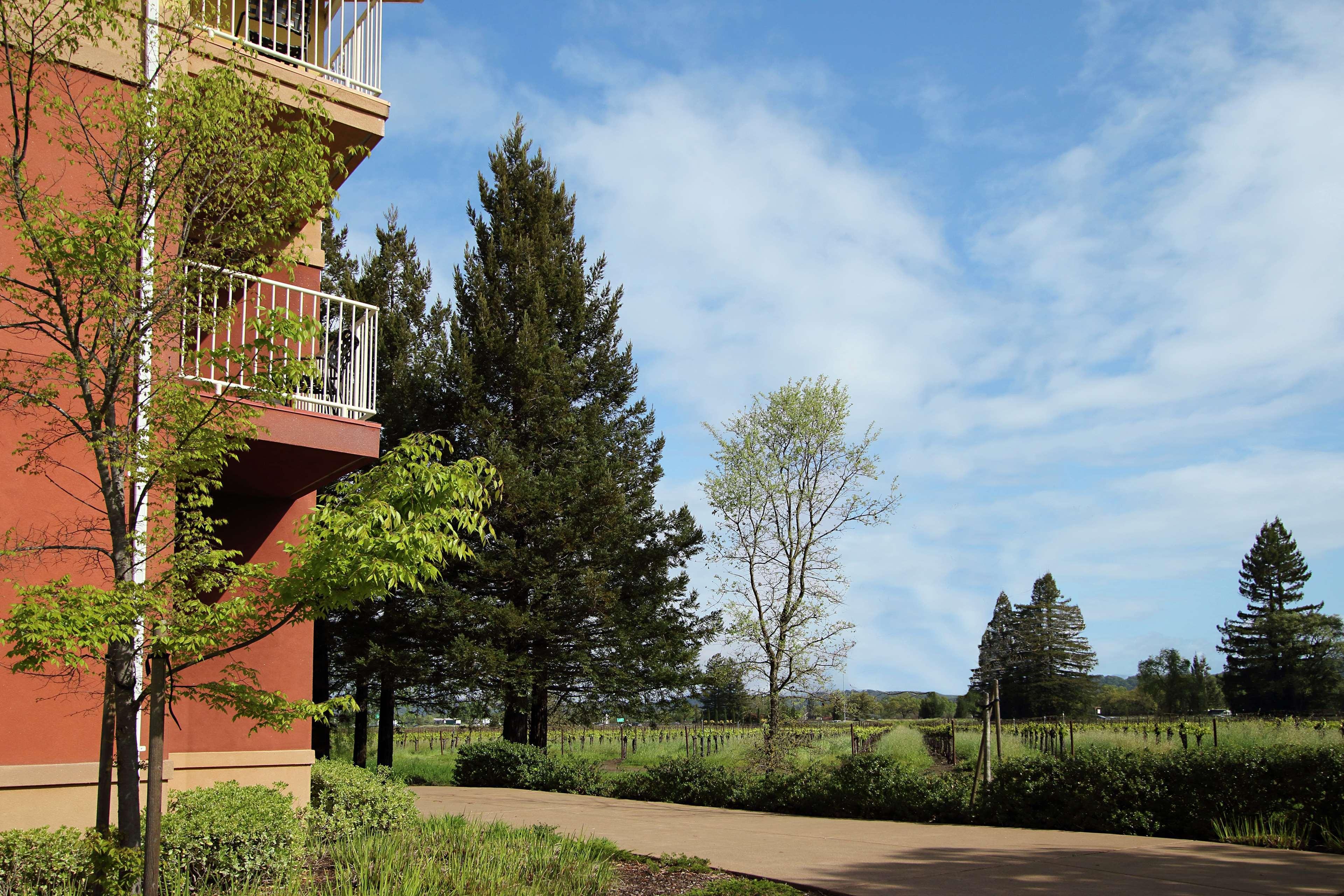 Hilton Garden Inn Sonoma County Airport Санта Роза Екстериор снимка